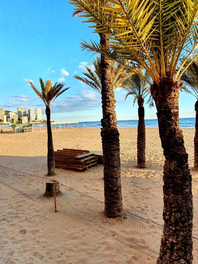 Roymar Playa Benidorm Apartment Exterior foto